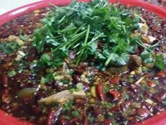 -球溪周鲢鱼