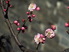 -北京明城墙遗址公园