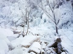 -黑龙潭风景区