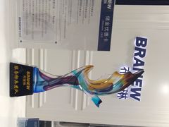 -布瑞琳洗衣(万柳书院店)