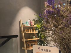 -施奈儿.洗头頭療.按摩SPA.采耳(上梅林店)