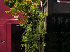 -荣县大佛