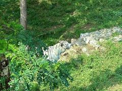 -石家庄市动物园