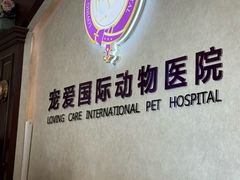 -宠爱国际动物医院·疑难骨科·心肾内科·皮肤科(太阳宫店)