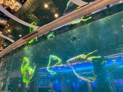 -瑞德姆美人鱼海底演艺主题餐厅(亚龙湾店)