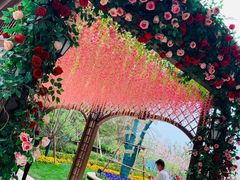 -华夏文旅海洋公园