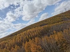 -塞罕坝国家级自然保护区