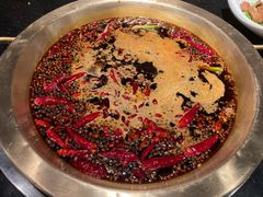 红汤锅底-潮火锅·麻辣牛肉火锅(观音桥方圆·LIVE店)