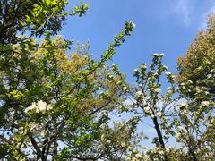 -南京金牛湖风景区