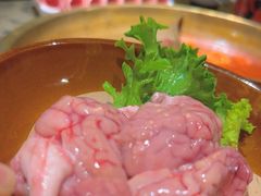 -Xiao Long Kan Hotpot Sydney 小龙坎老火锅