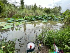 -白鹭湾湿地公园