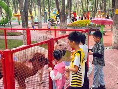 -水上乐园·欢乐世界