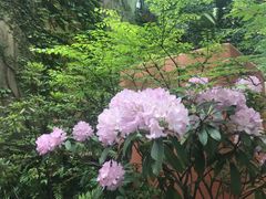 -三鹰之森吉卜力美术馆