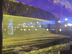 -俭寨大盘鸡·新疆菜·烧烤(博乐店)