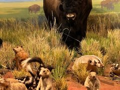 -陕西自然博物馆