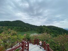 -广州白江湖森林公园