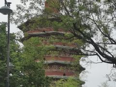 -百年聚宾楼(北大街店)