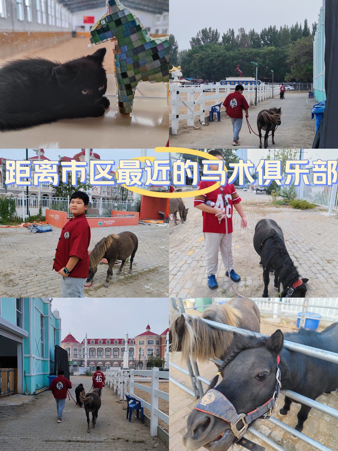 距离市区最近的马术俱乐部