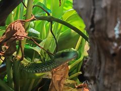 -昆明动物园