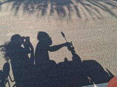 -东寨港红树林旅游区