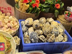 -福苗小骆驼烧烤(莲湖路店)