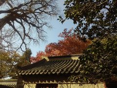-青岛崂山太清宫