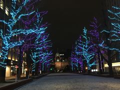 -北海道厅旧本厅舍(旧本庁舎)