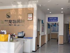 -瑞派雷欧宠物医院·24h夜诊·心脏骨科牙科·全科重症转诊中心(无影山店)