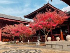 -牛首山文化旅游区