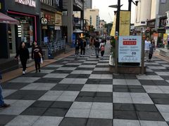 -宝健路步行街(Pedestrian Shopping Street)