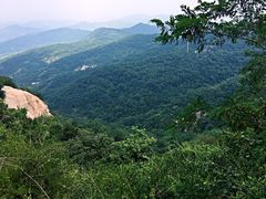 -鲁山国家森林公园