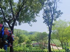 -牛岗山公园