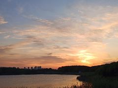 -漕湖湿地公园