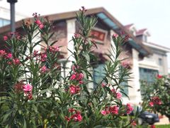 -北京宽沟会议中心