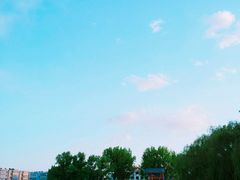 -二一九公园