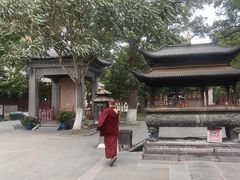 -护国法轮寺