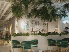 大堂-喵喵咪呀布偶猫咖(春熙路店)