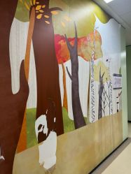 -上海交通大学医学院附属上海儿童医学中心(陆家嘴总院区)