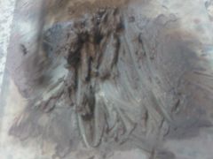 -艺趣慢生活·紫砂手工DIY·团建