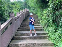 -杭州半山国家森林公园