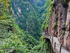 -天台山琼台仙谷景区