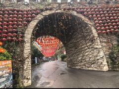 -巴倒烫陆派火锅山庄(南山总店)