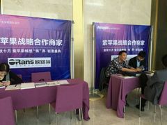 -紫苹果装饰·别墅大宅设计