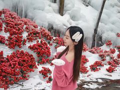 -洛阳白云山景区