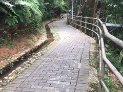 -梁野山景区