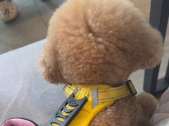 -屋里家延边朝鲜族冷面(梅林3店)