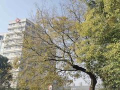 -浙江省中医院(湖滨院区)