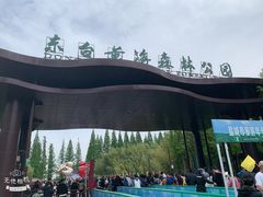 -黄海国家森林公园