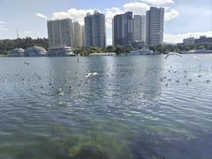 -大理洱海