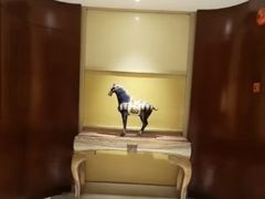 -上海圣淘沙万怡酒店